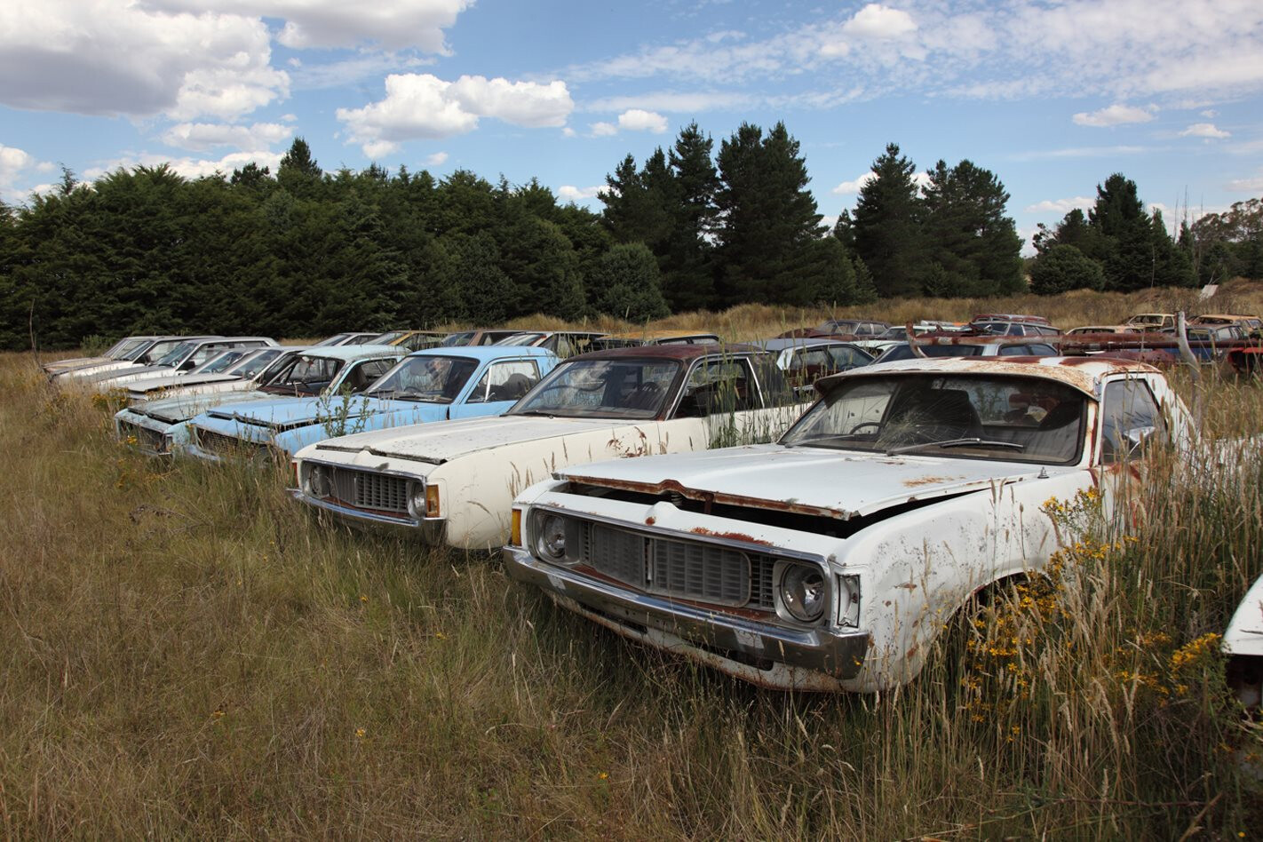 CLASSIC CAR HUNTER TAKES ON FLYNN’S WRECKING YARD – VIDEO