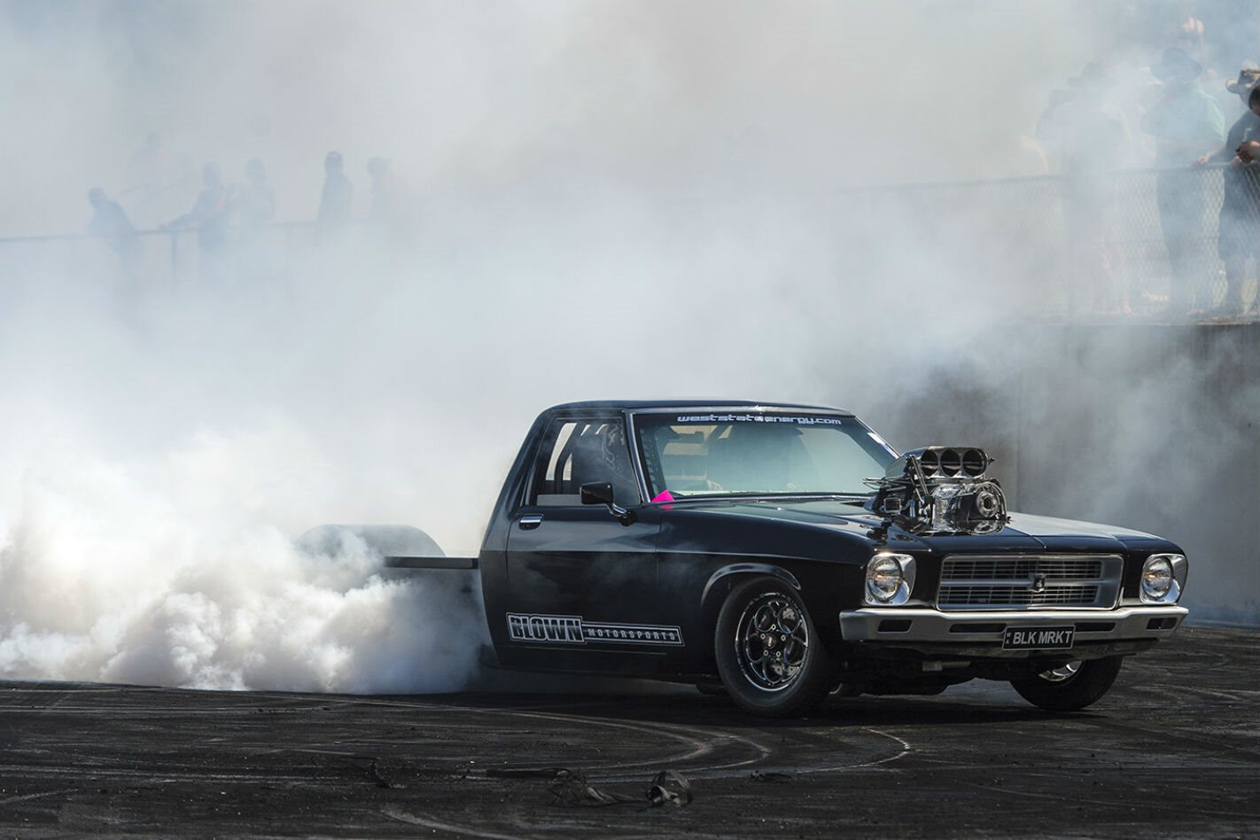 Gazzanats Darwin: blown HQ Tonner debut
