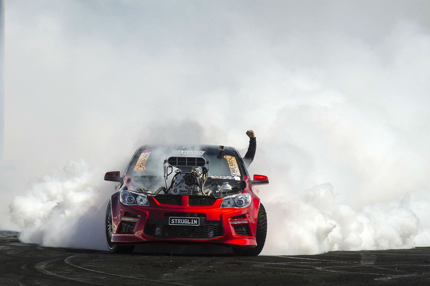 GAZZANATS DARWIN: STRUGLIN VE COMMODORE BURNOUT