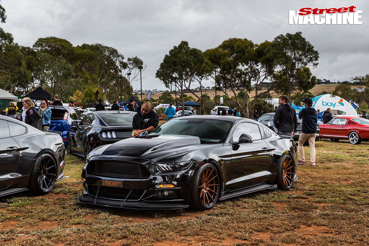 1-Mustang