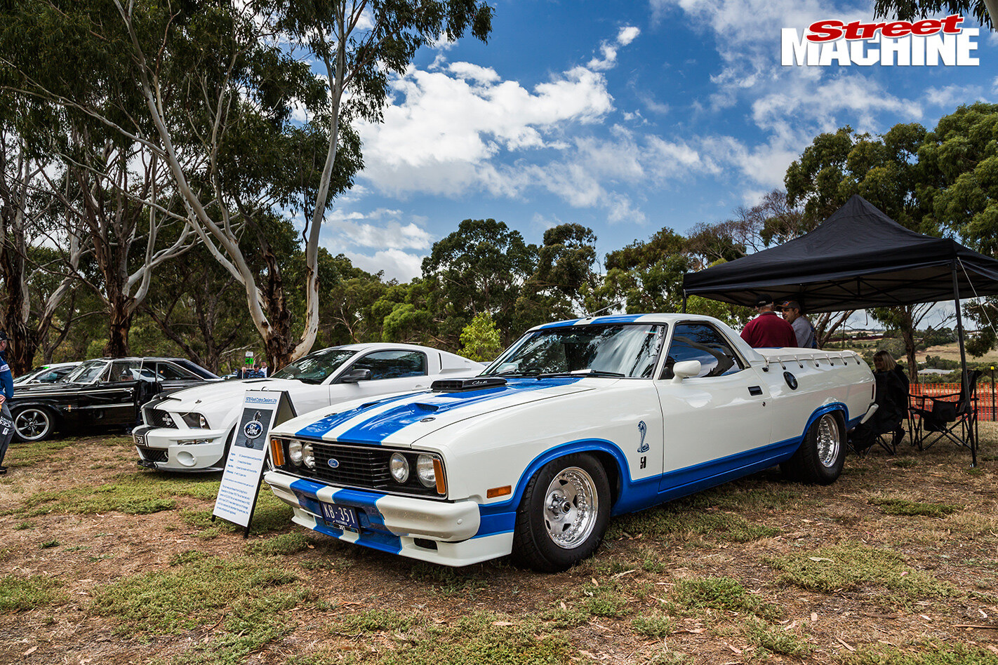 12-cobra -style -XC-Falcon