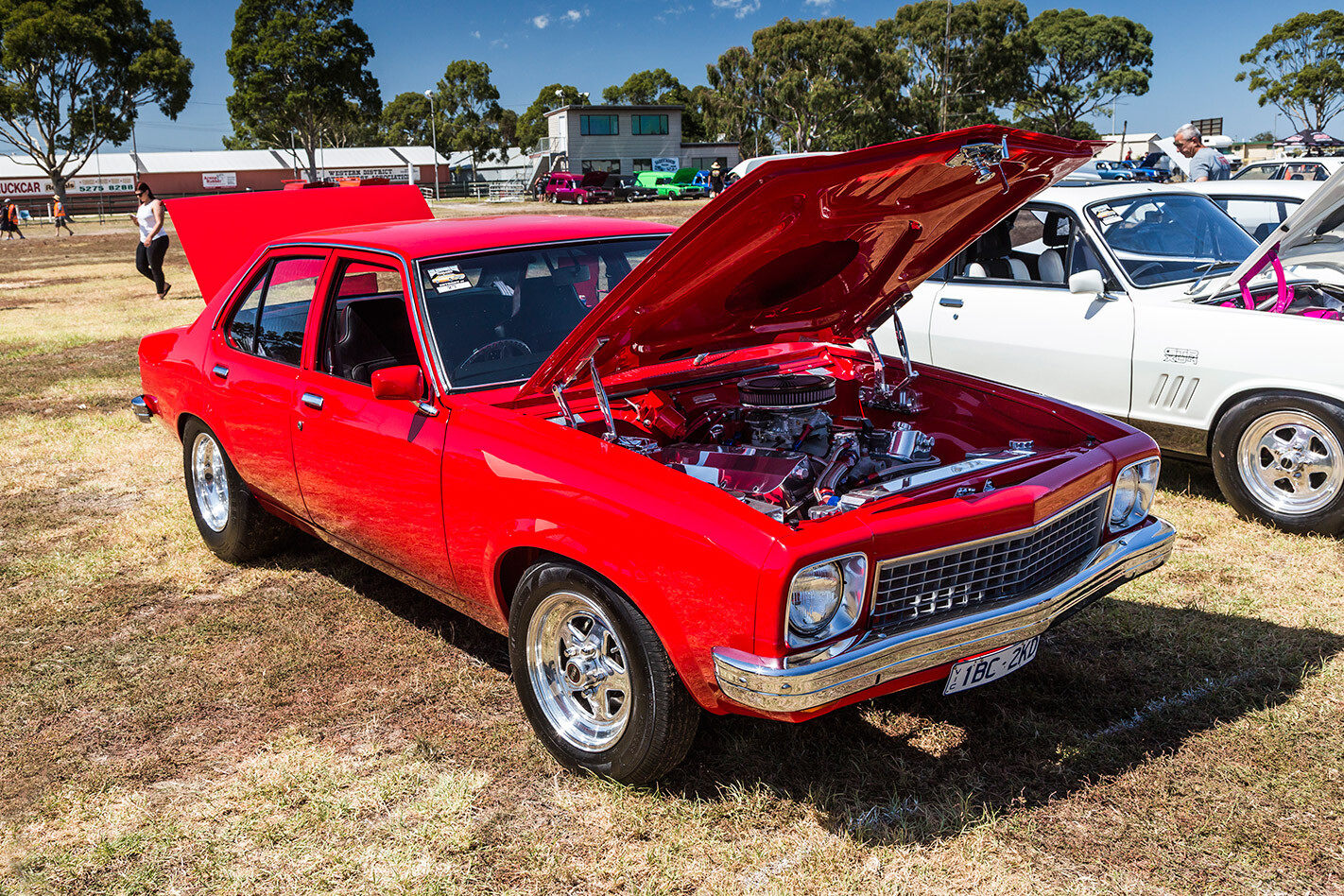 Holden Torana
