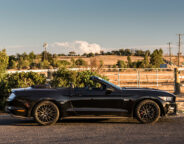 DRAG CHALLENGE 2018 FORD MUSTANG GT