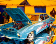 Rock Solid Falcon on show