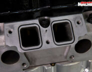 Burnet 202 Head Close Jpg