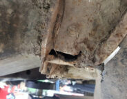 Street Machine TV Carnage Valiant Rust 1
