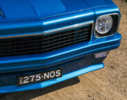 03731623/carolyn hayes lh torana 275nos grille jpg