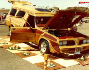 checkmate panel van