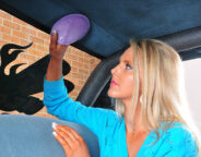 cleaning roof lining