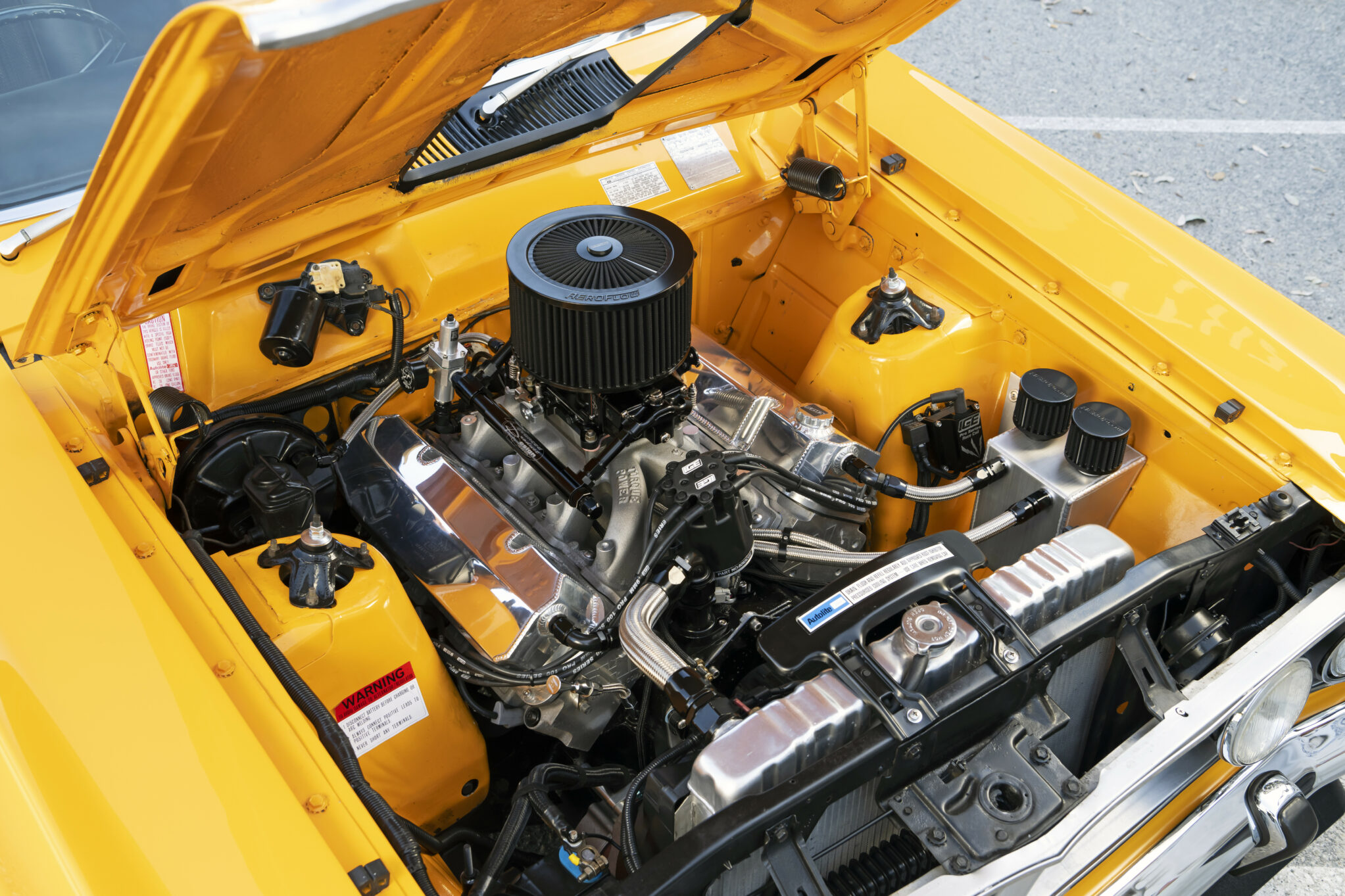 f98e19a6/connor chiarelli xy falcon reader engine bay 2 jpg