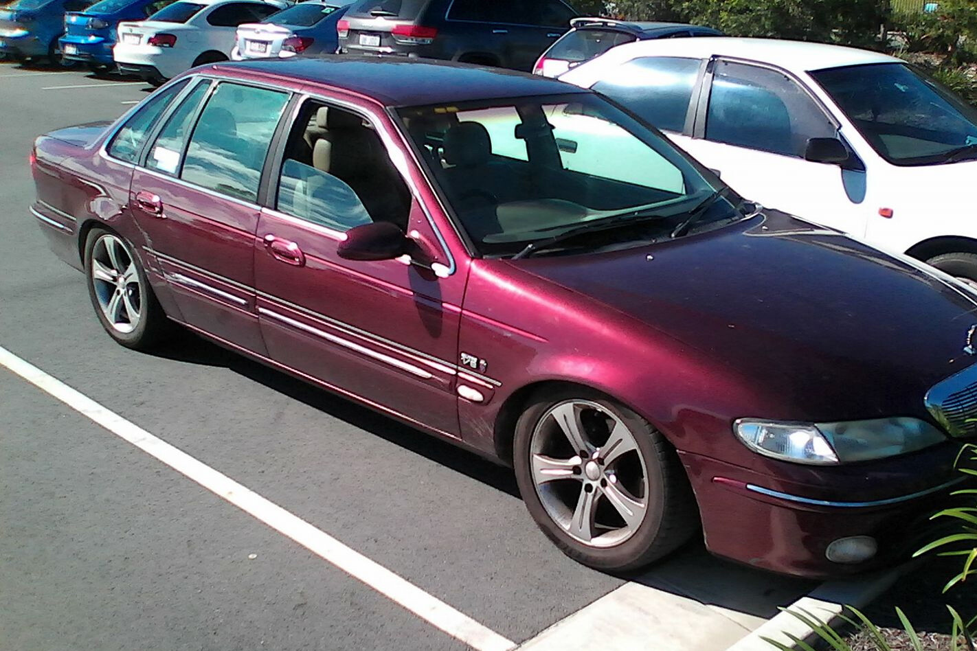 Shannon Edwards - Ford Falcon