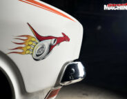 Superoo decal