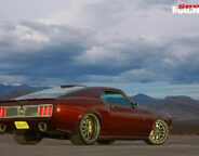Ring Brothers Mustang rear