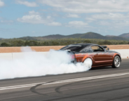 1ab21286/gary myers 2insane mustang png