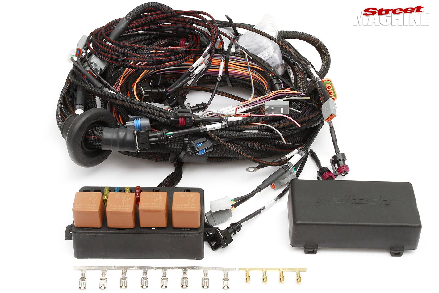 Haltech new terminated engine harness