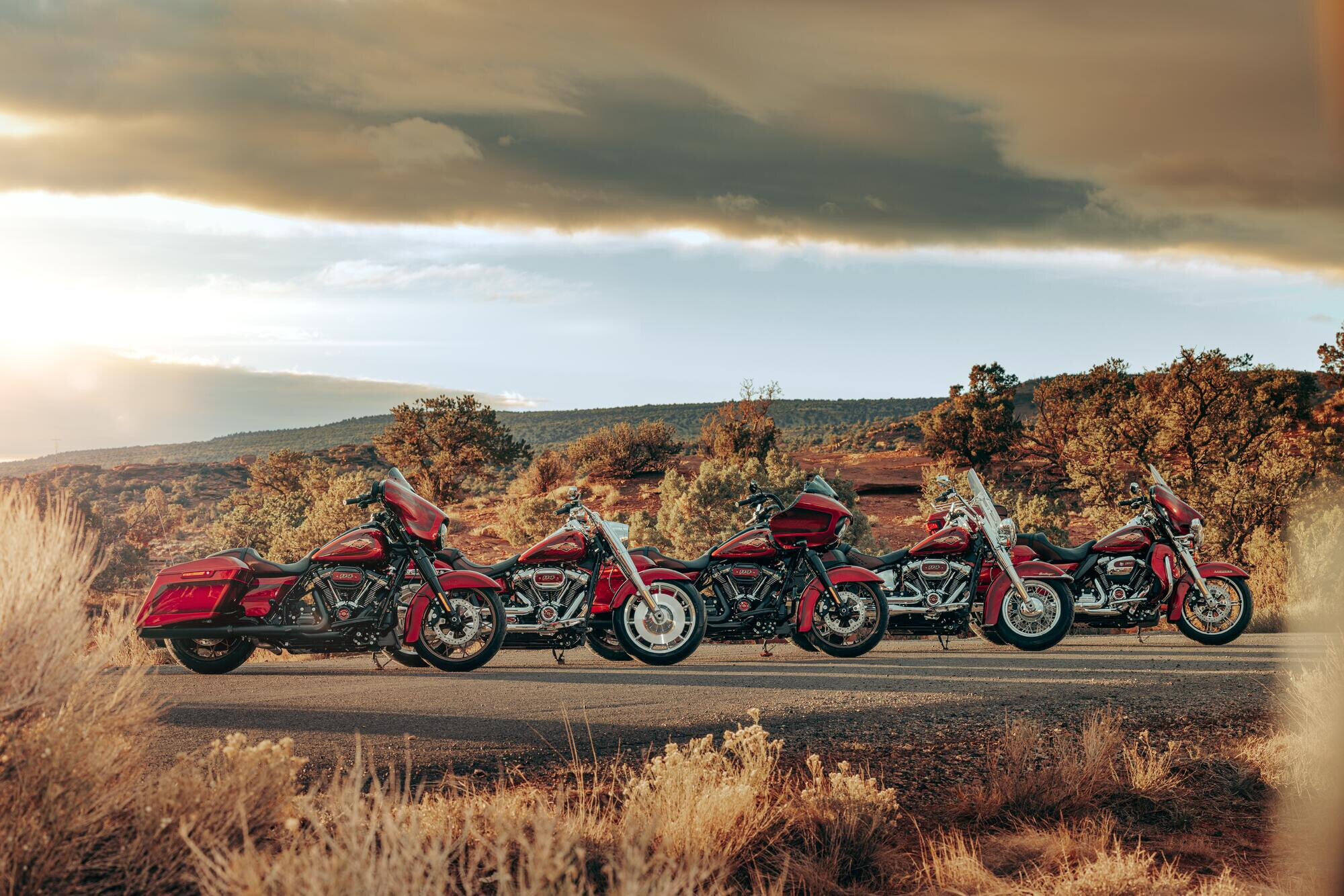Street Machine News Harley Davidson 120th Anniversary Bikes 4