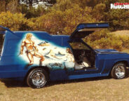 Invader van