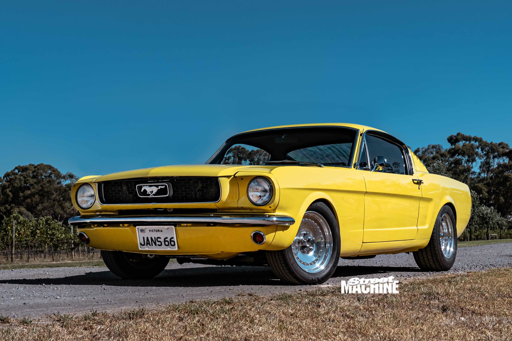 Janet Hough Mustang