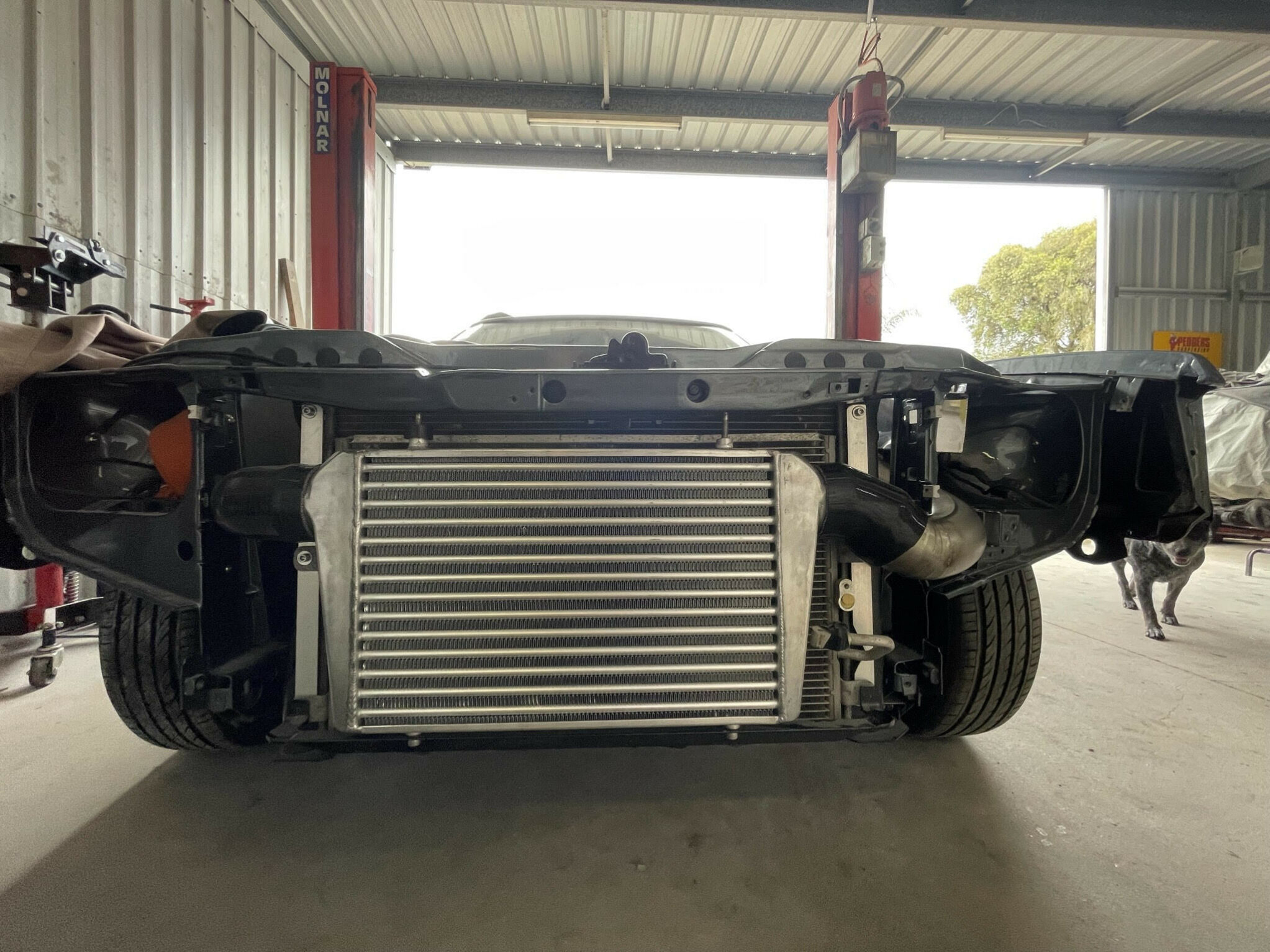 1da51691/joel lucas ford xf falcon ute ysmoty 5 jpg