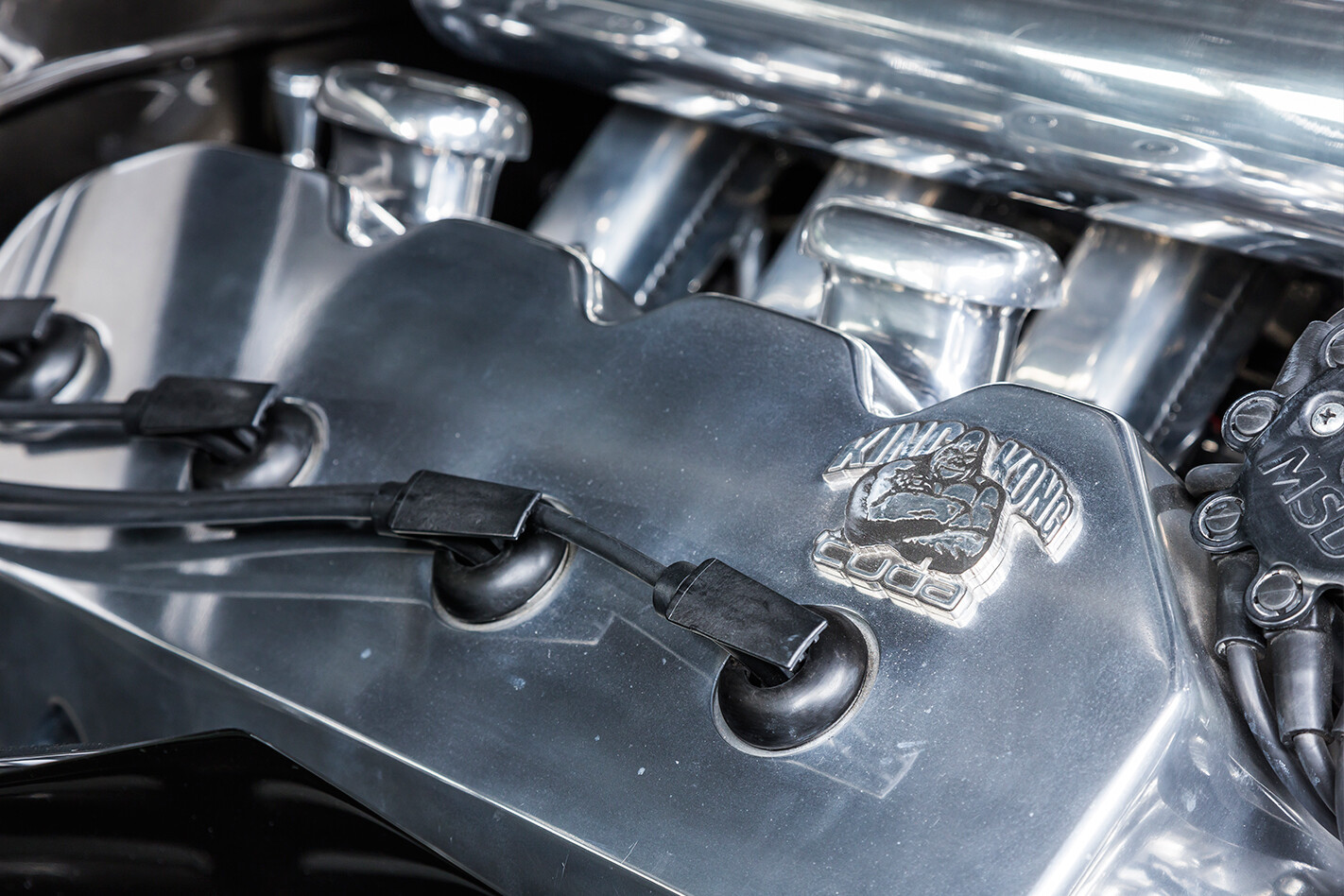 King Kong Cuda engine detail