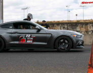 Mustang Calder Optima Jpg