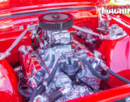 Mustang Jim Slam Champion Jpg