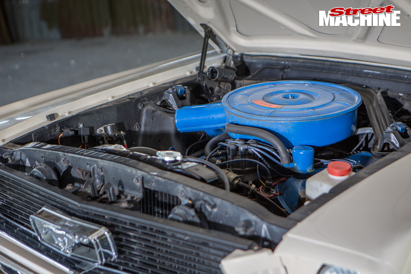 Nicole -Bridge -1966-Mustang -engine
