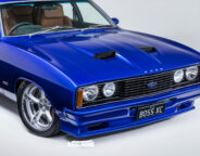 93941879/peter lewis astill built xc falcon nose wm jpg