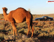 Pontiac Firebird roadtrip