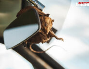HK Monaro rat ornament