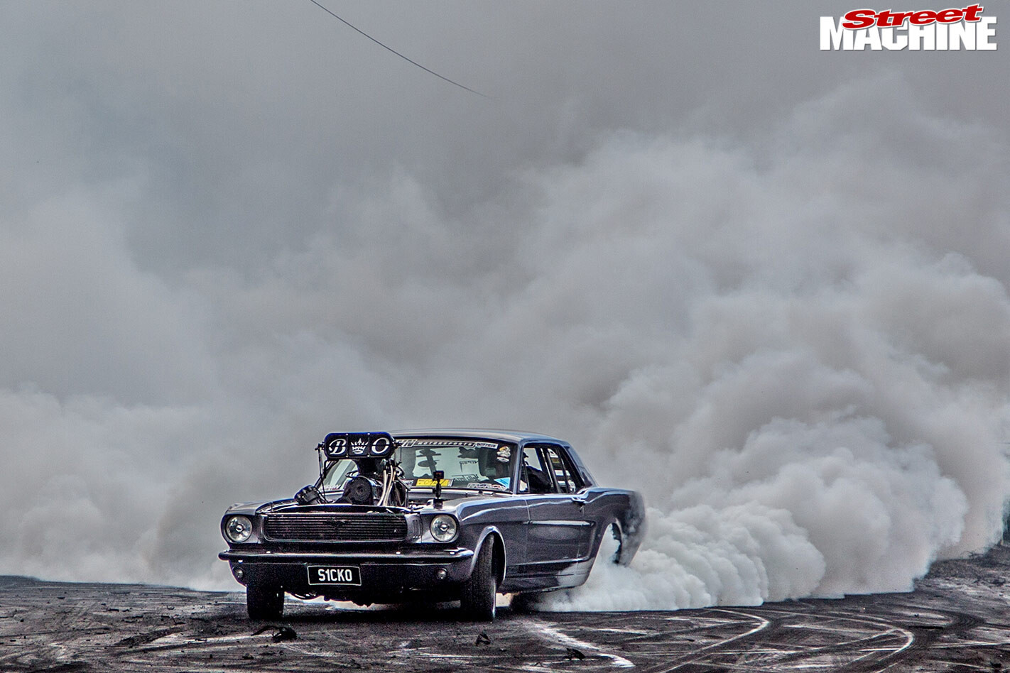 Sicko Mustang