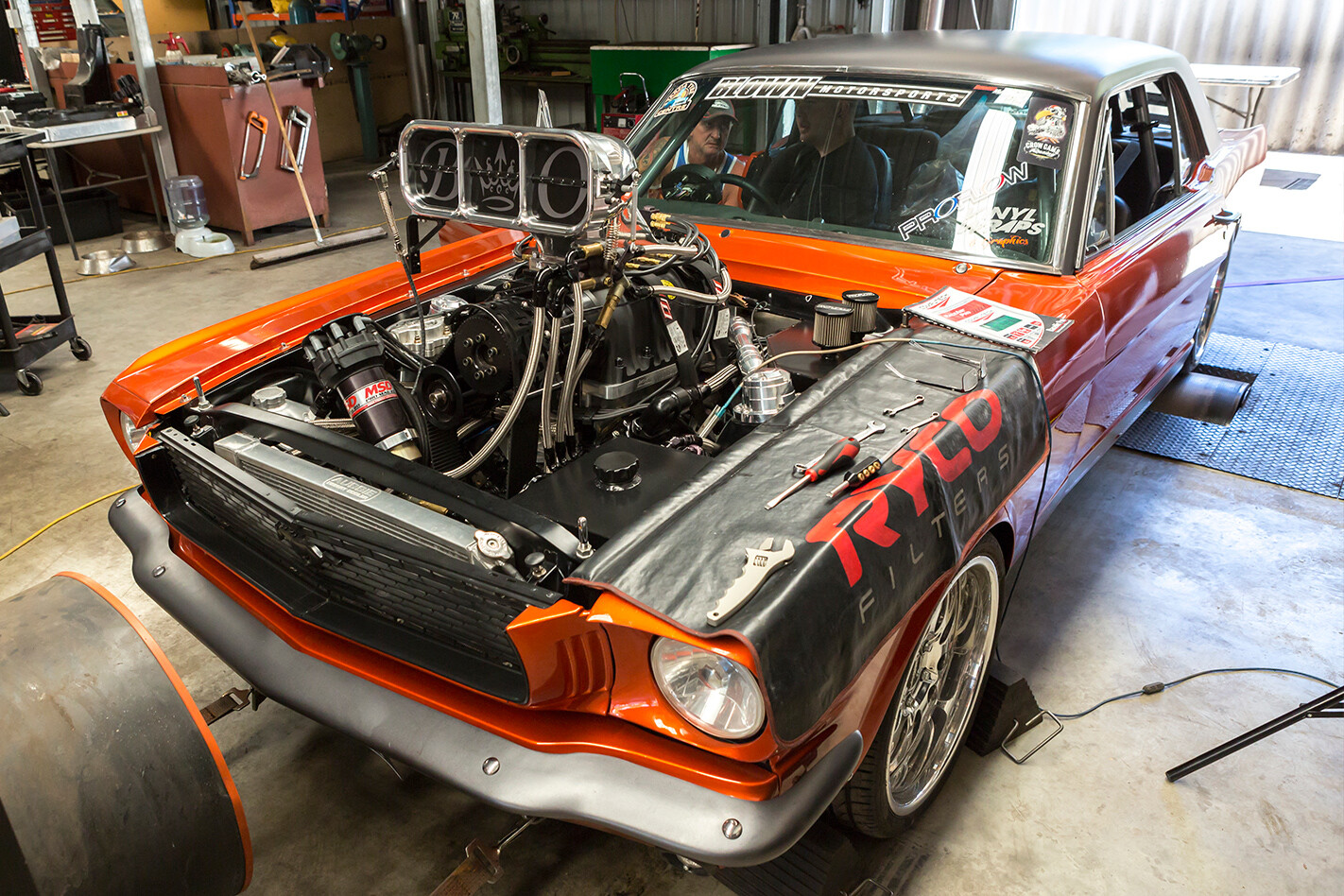 Sicko Mustang