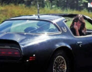 Smokey & The BAndit
