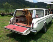 Valiant Wagon Dog 281 29 Jpg