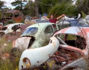Street Machine TV VW Beetles