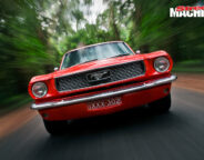 WEB Mustang 1 Nw