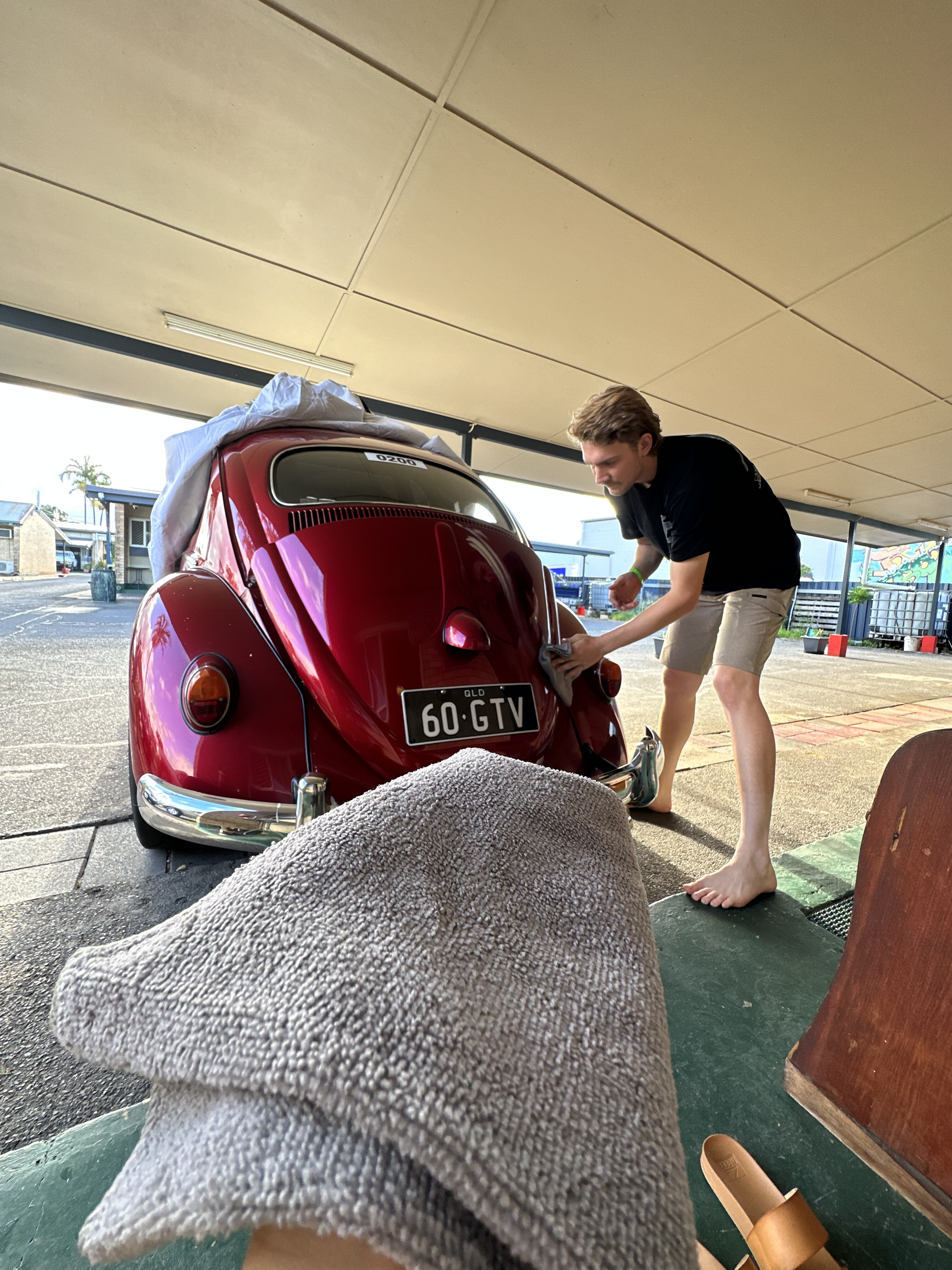 43cf1301/ysmoty duncan allen beetle 1 jpg